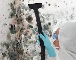 Best Forensic Mold Investigation  in Macon, IL